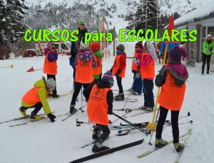 cursos para escolares
