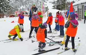 Especial colegios y grupos: un día en la nieve Aprendizaje del esquí nórdico, juegos en la nieve y conocimiento del entono en una jornada lúdica y educativa en plena naturaleza.