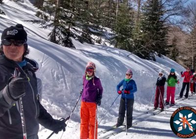 Especial colegios y grupos: un día en la nieve Aprendizaje del esquí nórdico, juegos en la nieve y conocimiento del entono en una jornada lúdica y educativa en plena naturaleza.