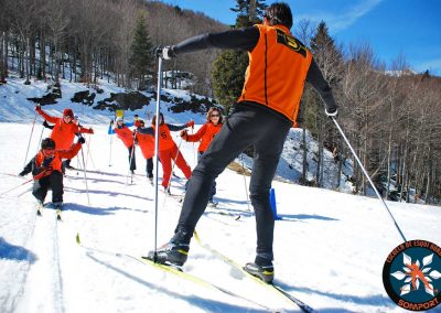 Especial colegios y grupos: un día en la nieve Aprendizaje del esquí nórdico, juegos en la nieve y conocimiento del entono en una jornada lúdica y educativa en plena naturaleza.