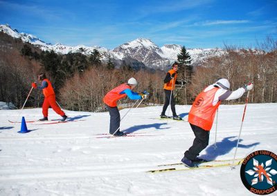 Especial colegios y grupos: un día en la nieve Aprendizaje del esquí nórdico, juegos en la nieve y conocimiento del entono en una jornada lúdica y educativa en plena naturaleza.