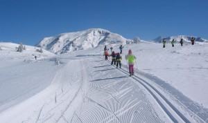Un día en la nieve. Diversión