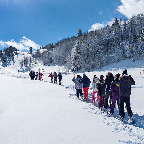 Descubre la magia blanca del Somport con nuestras rutas guiadas de 3 horas de aventura. Grupos y particulares