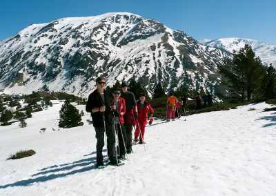 Excursiones con raquetas Descubre la magia blanca del Somport con nuestras rutas guiadas de 3 horas de aventura. Grupos y particulares. Todos los domingos, salida con raquetas por Somport Durante la temporada 2018/2019 hemos programado, todos los domingos a las 10.30 h, una salida con raquetas de 4-5 horas de duración. El precio (todo incluido) es de 35 € por persona y para reservar o más información, podéis contactar con la Escuela en nuestra Oficina en la Estación de Somport o en el teléfono 620 425 169