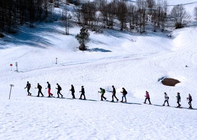 Excursiones con raquetas Descubre la magia blanca del Somport con nuestras rutas guiadas de 3 horas de aventura. Grupos y particulares. Todos los domingos, salida con raquetas por Somport Durante la temporada 2018/2019 hemos programado, todos los domingos a las 10.30 h, una salida con raquetas de 4-5 horas de duración. El precio (todo incluido) es de 35 € por persona y para reservar o más información, podéis contactar con la Escuela en nuestra Oficina en la Estación de Somport o en el teléfono 620 425 169