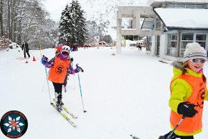 Cursos grupos SKI-4 Disfruta de un curso de 2 ó 4 días consecutivos dirigido a grupos reducidos que quieran iniciar o perfeccionar su nivel de esquí a un precio económico.