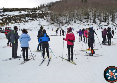 Cursos grupos SKI-4 Disfruta de un curso de 2 ó 4 días consecutivos dirigido a grupos reducidos que quieran iniciar o perfeccionar su nivel de esquí a un precio económico.