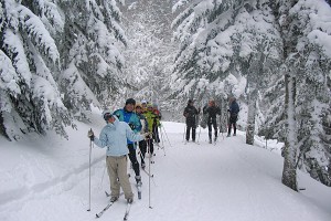 Cursos Grupos SKI 4